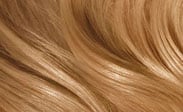 clairol hair color chart honey