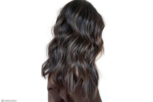 Brown highlights on black hair