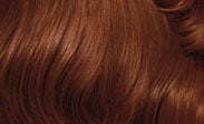 clairol hair color light auburn